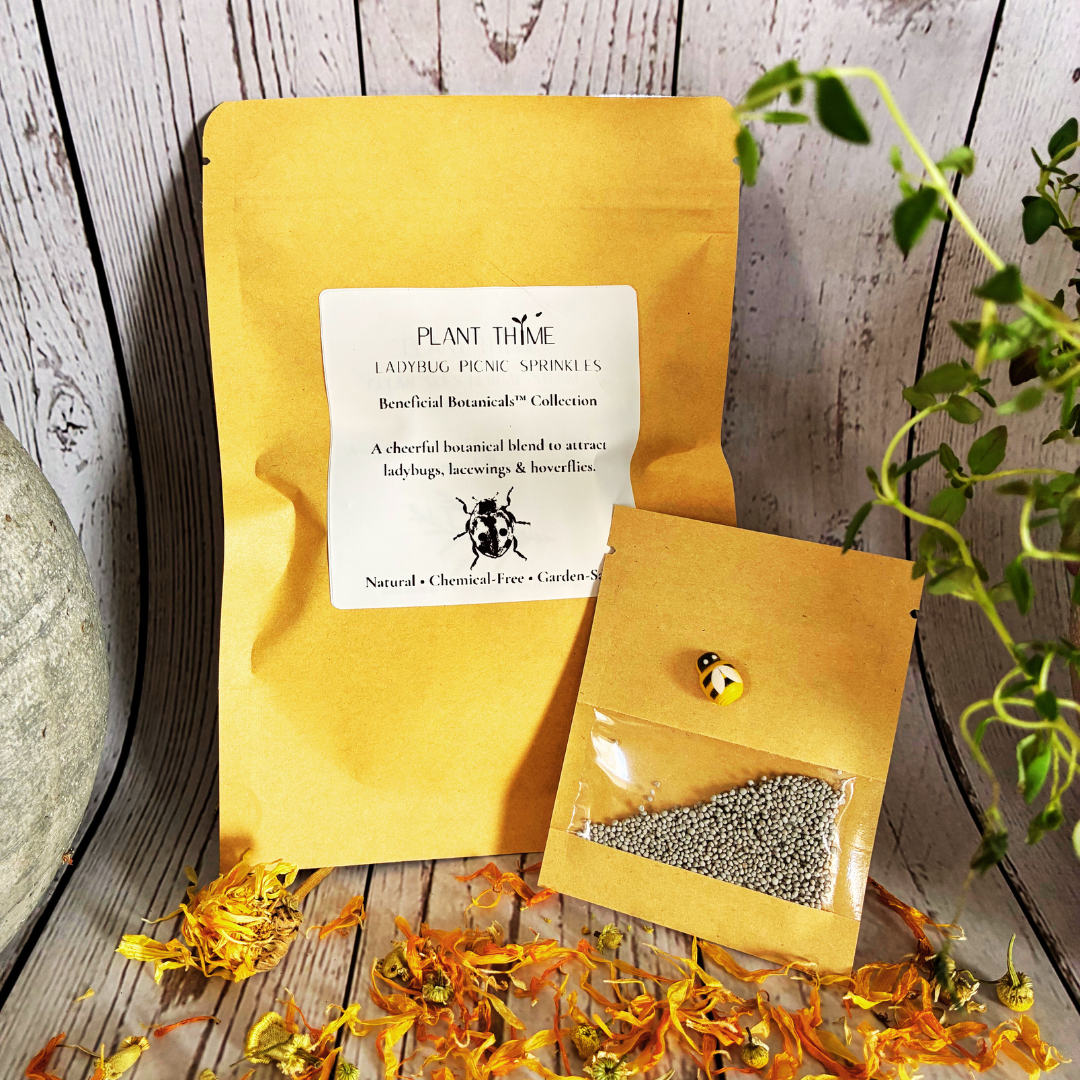 Plant Thyme beneficial insect/ladybug Sprinkles packaging with red clover seeds on a wooden surface with dried flowers for pollinator gardens