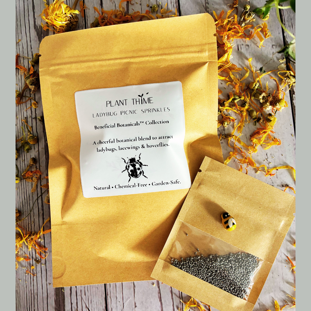 Plant Thyme beneficial insect/ladybug Sprinkles packaging with white evening primrose seeds on a wooden surface with dried flowers for pollinator gardens