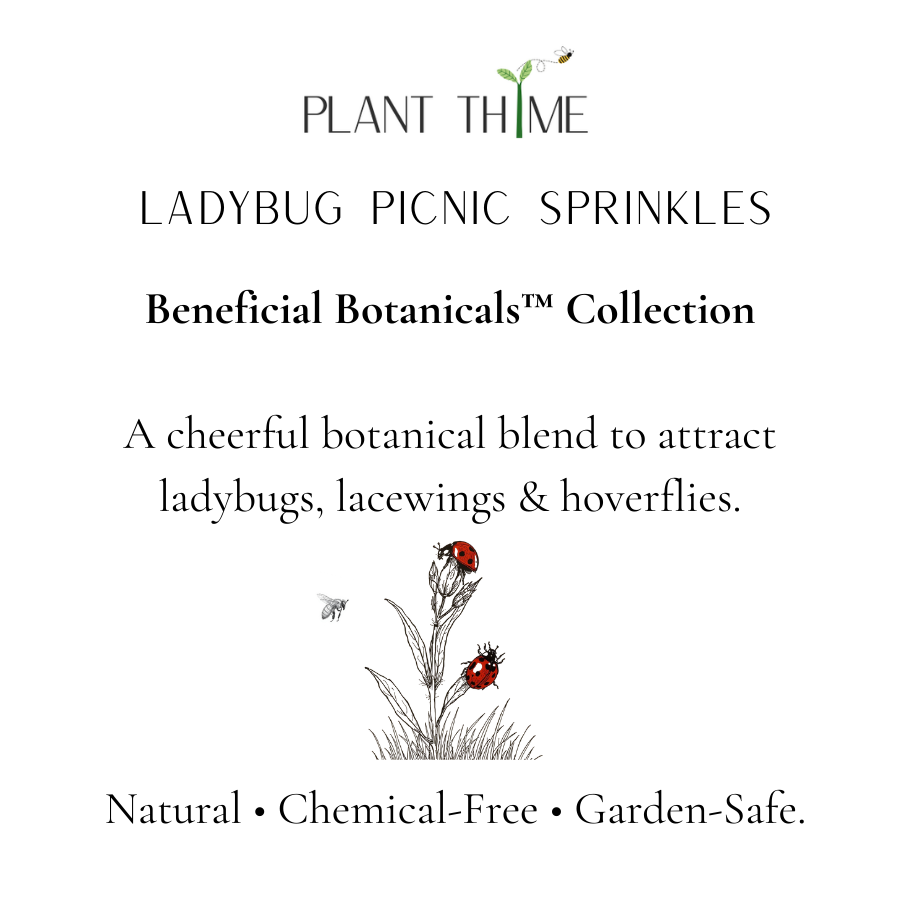 Advertisement for Plant Thime Ladybug Picnic Sprinkles with illustrations of ladybugs and text on a white background.