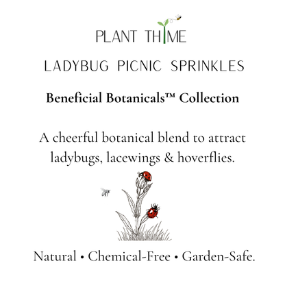 Advertisement for Plant Thime Ladybug Picnic Sprinkles with illustrations of ladybugs and text on a white background.